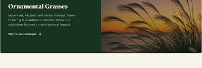 Ornamental grasses feature block with copy and photography.