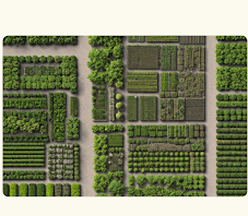 Illustrated nursery site map showing planting beds and access roads.